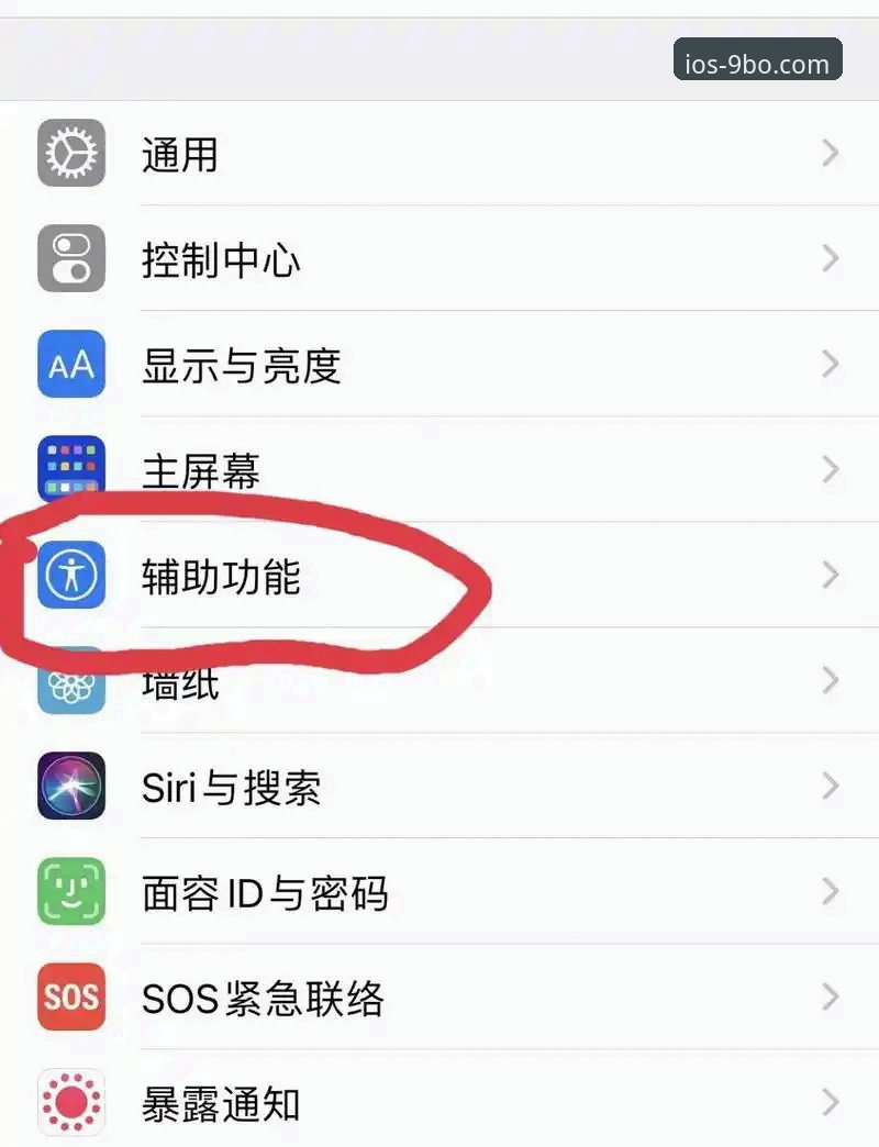 揭秘9博体育官网登录入口：老用户带你避开2026年iOS下载的那些坑